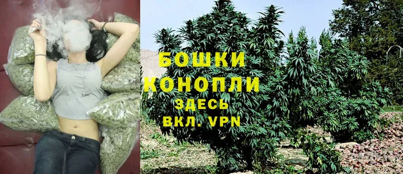 цены наркотик  Маркс  Канабис SATIVA & INDICA 